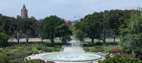 Rose Garden