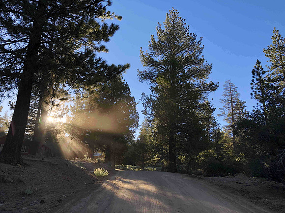 Big Bear